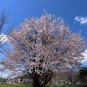 空彩-sorairo- 岩見沢市